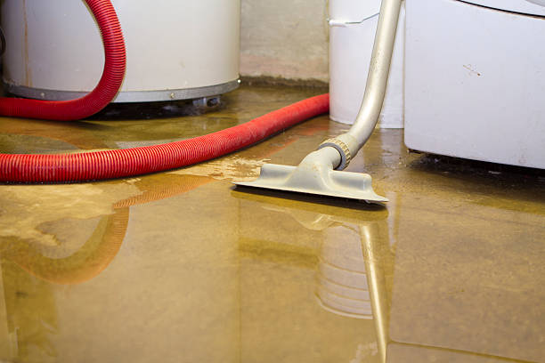 Sewage cleanup and water damage restoration in Saratoga, WY