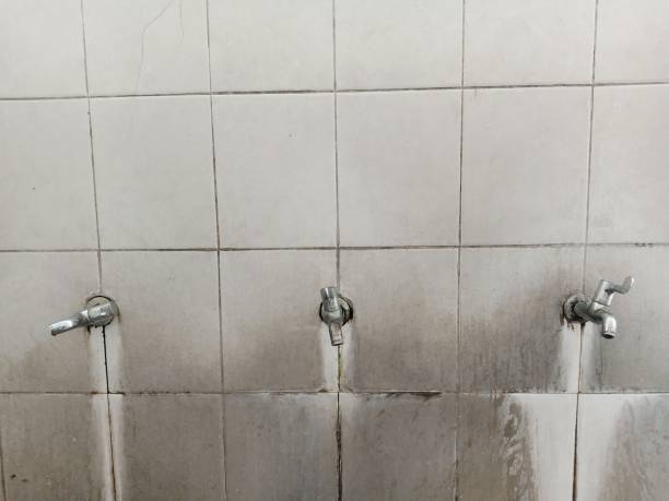 Best Water damage restoration near me  in Saratoga, WY