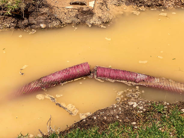 Best Emergency water damage restoration  in Saratoga, WY