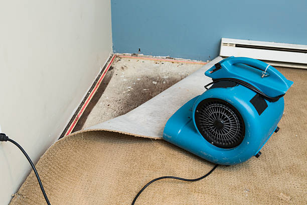 Best Water damage restoration cost  in Saratoga, WY